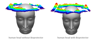 head